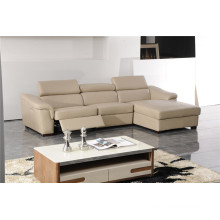 Living Room Sofa with Modern Genuine Leather Sofa Set (419)